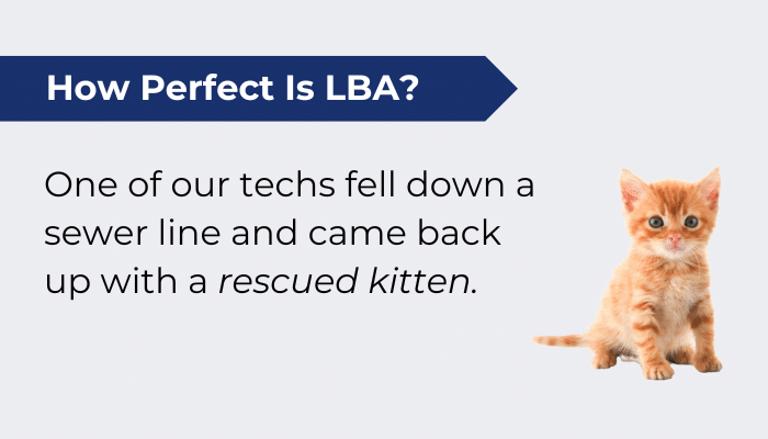 How Perfect Is Lba Kitten 1