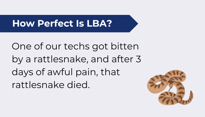 How Perfect Is Lba Rattlesnake